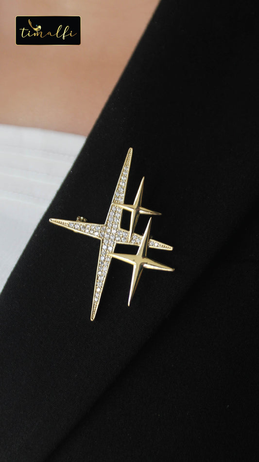 Pointed Starling Brooch